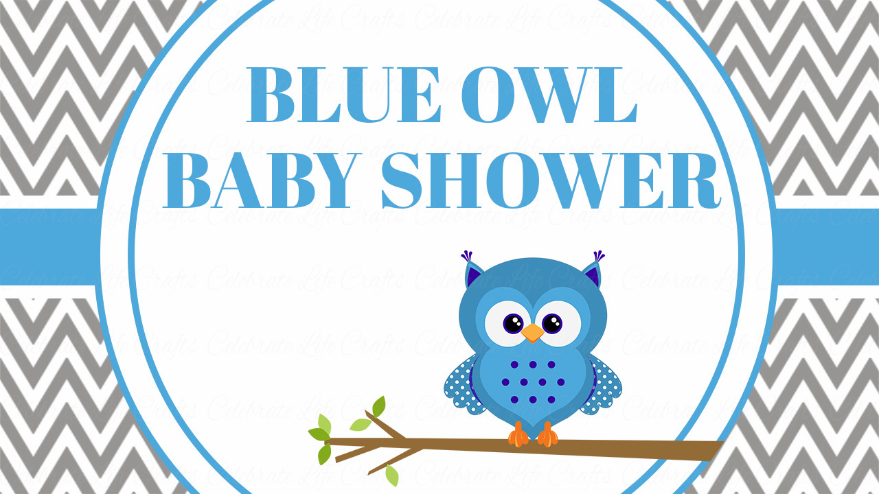 owl baby shower boy